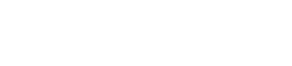 Turtle Foundation