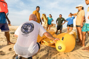 Datenerhebung einer getöteten Unechten Karettschildkröte am Strand