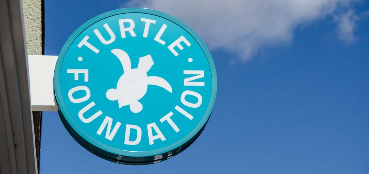 Turtle Foundation Logo Turtle Foundation Logo