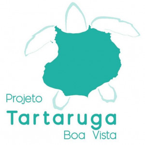 Projeto Tartaruga