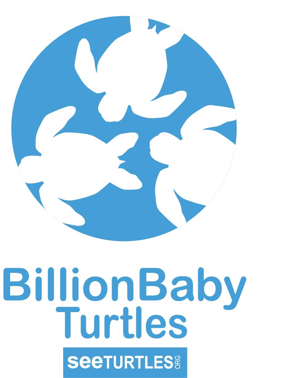 Logo Billion Baby Turtles