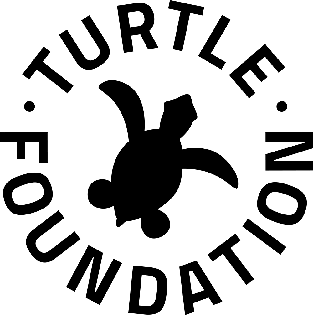 (c) Turtle-foundation.org