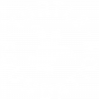 Logo_negativ_png Logo Turtle Foundation