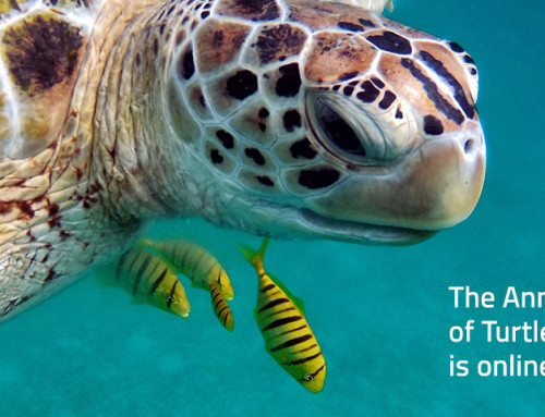 Newsletter April 2021: The Annual Report 2020 of Turtle Foundation is online!