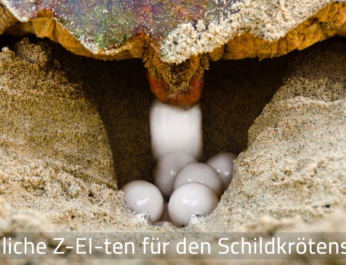 Newsletter April 2023: Der Jahresbericht 2022 ist erschienen!
