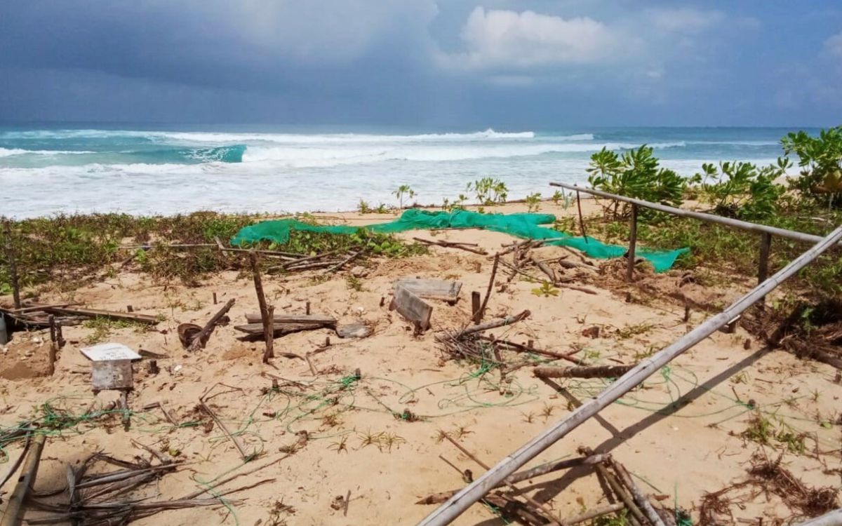 NL_2023-09-20_2_hatchery-Sipora_Website Destroyed by storm: hatchery on Sipora needs to be rebuilt before leatherback nesting season begins