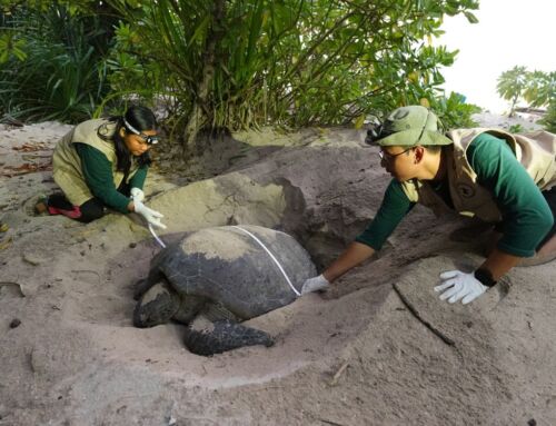 Long-term knowledge preservation in Indonesia
