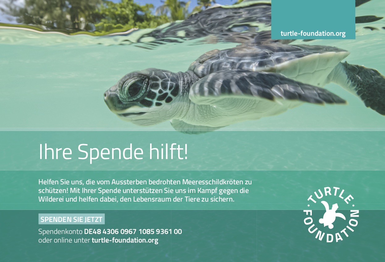 Freianzeige Turtle Foundation "Ihre Spende hilft"