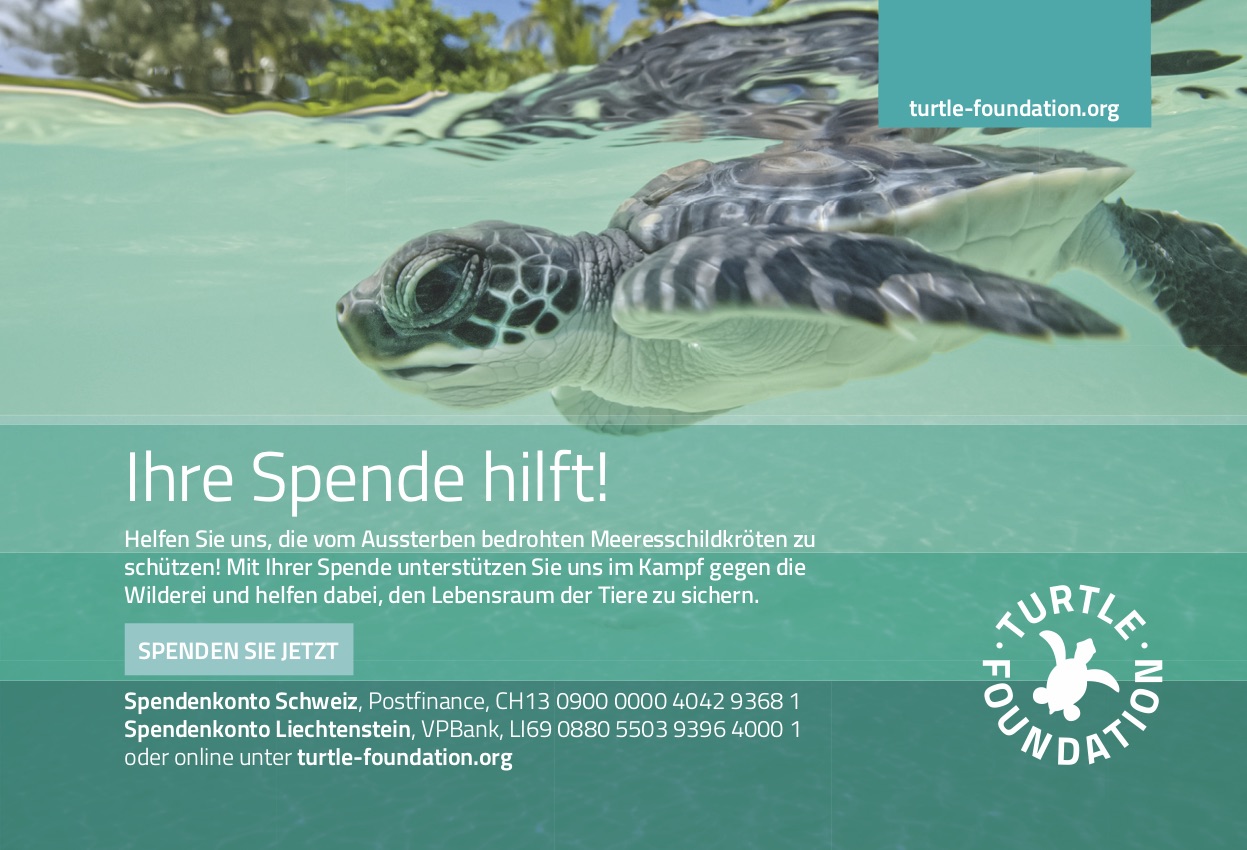 Freianzeige Turtle Foundation "Ihre Spende hilft" Schweiz/Liechtenstein