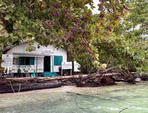 When Climate Change Hits Our Project: Rebuilding the Ranger Station on Mataha