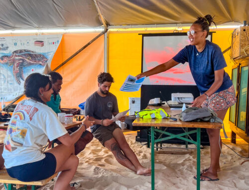 Training Camp 2025 – Ready to Protect Sea Turtles