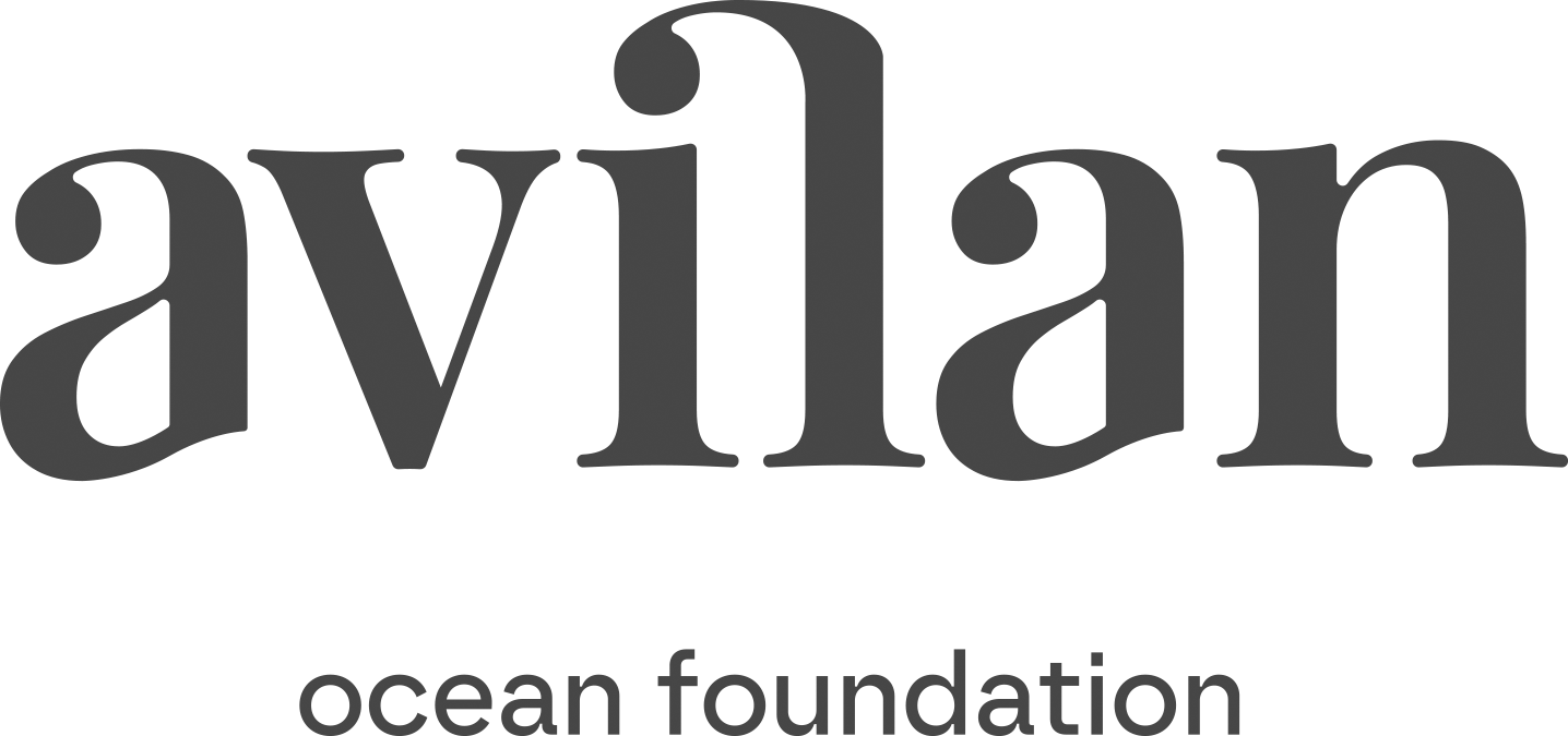 Logo Avilan Ocean Foundation