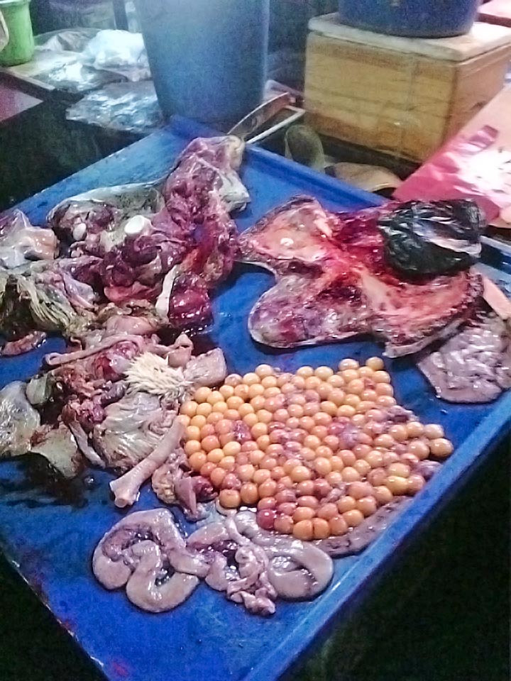 Sea turtle bushmeat case Manado June 2016