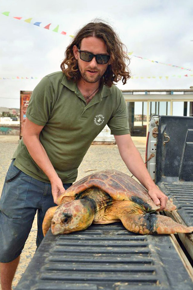 Release of loggerhead turtle Luisa