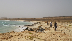 Beach 12.1