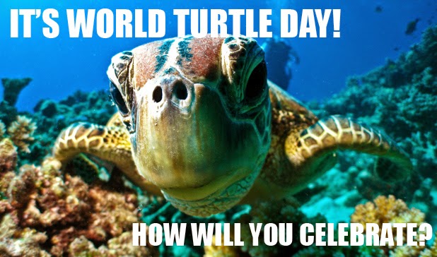 Happy World Turtle Day Turtle Foundation