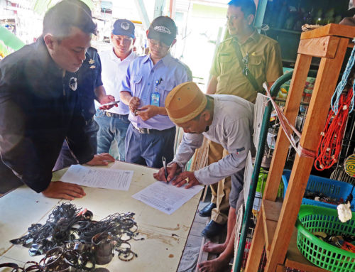 Hawksbill turtle souvenirs confiscated on Derawan, East Borneo