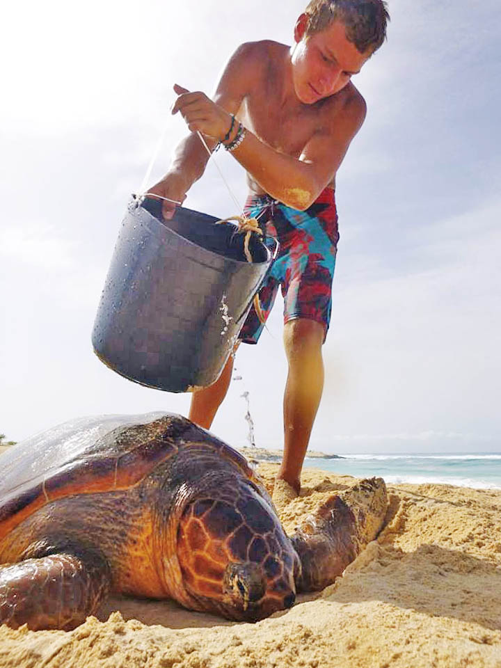 Turtle Rescue Curral Velho August 2016