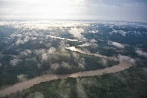 Berau river viewed from plane