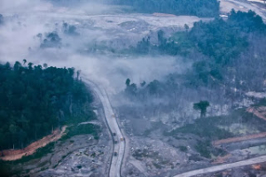 Forest destruction near Tanjung Redeb in the Berau regency