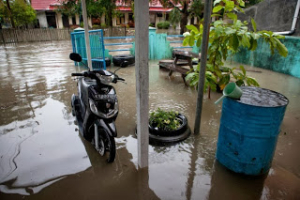 Flooding in front of the Turtle Foundation office