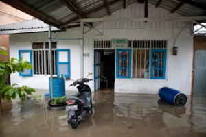 Flooding in front of the Turtle Foundation office