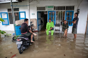 Flooding in front of the Turtle Foundation office