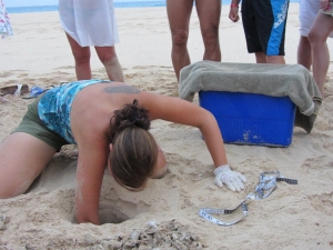 excavation