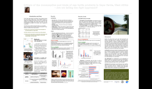 poster+joana