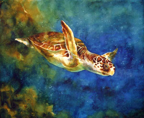 sea+turtle