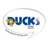 Logo Ducks Diving