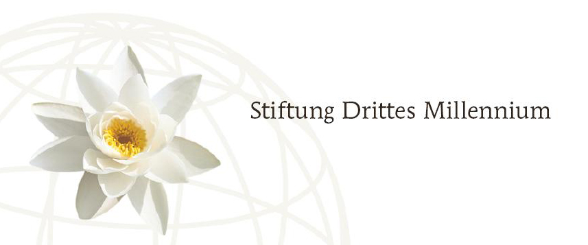 Logo Stiftung Drittes Millennium