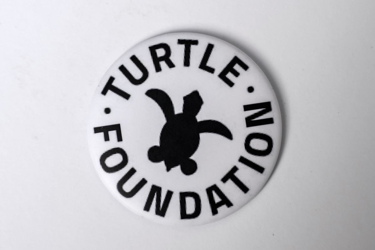 Kühlschrank Magnet Turtle-Foundation