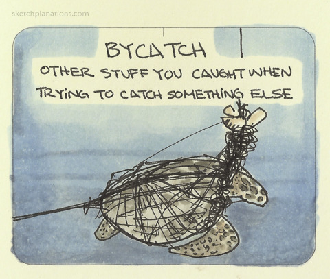 Bycatch by Scatchplanation